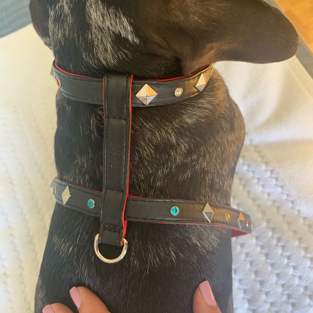 Dog harness